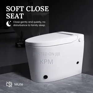 Non Electric Toilet With Foot-Pedal Flush Feminine Wash Functions