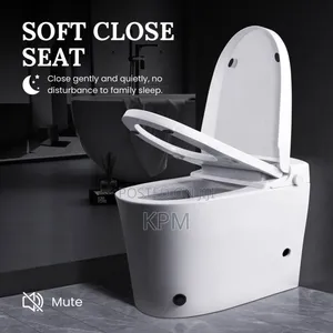 No Electricity Needed Wc Watercloset Easy Installation