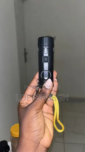 2 In 1 Torch And Personal Security Alarm
