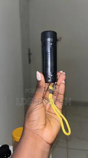 2 In 1 Torch And Personal Security Alarm