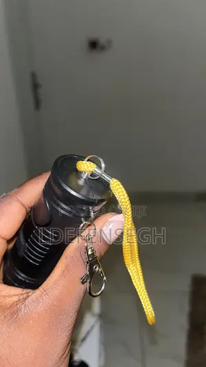 2 In 1 Torch And Personal Security Alarm