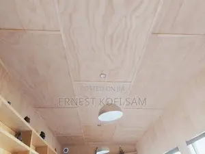 Ceiling/Ply Wood Ceiling