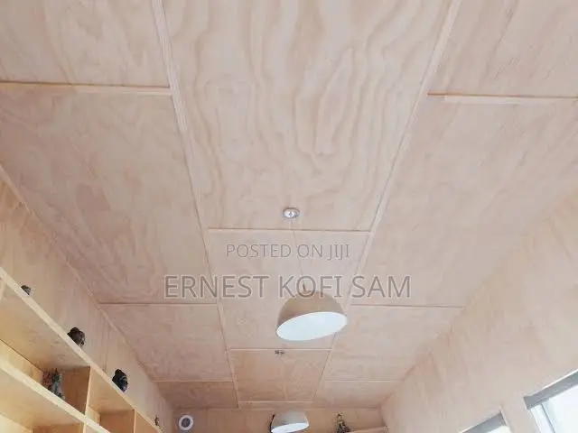 Ceiling/Ply Wood Ceiling