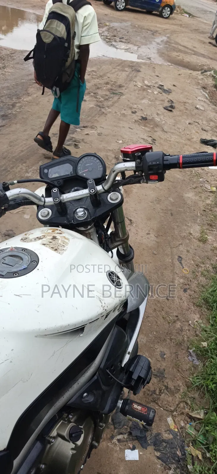 Yamaha FZ6 2025 White