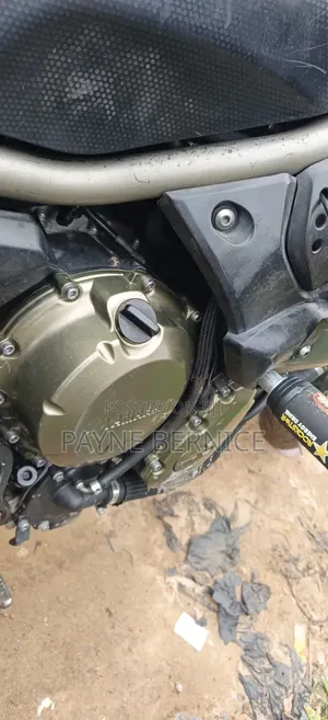 Yamaha FZ6 2025 White
