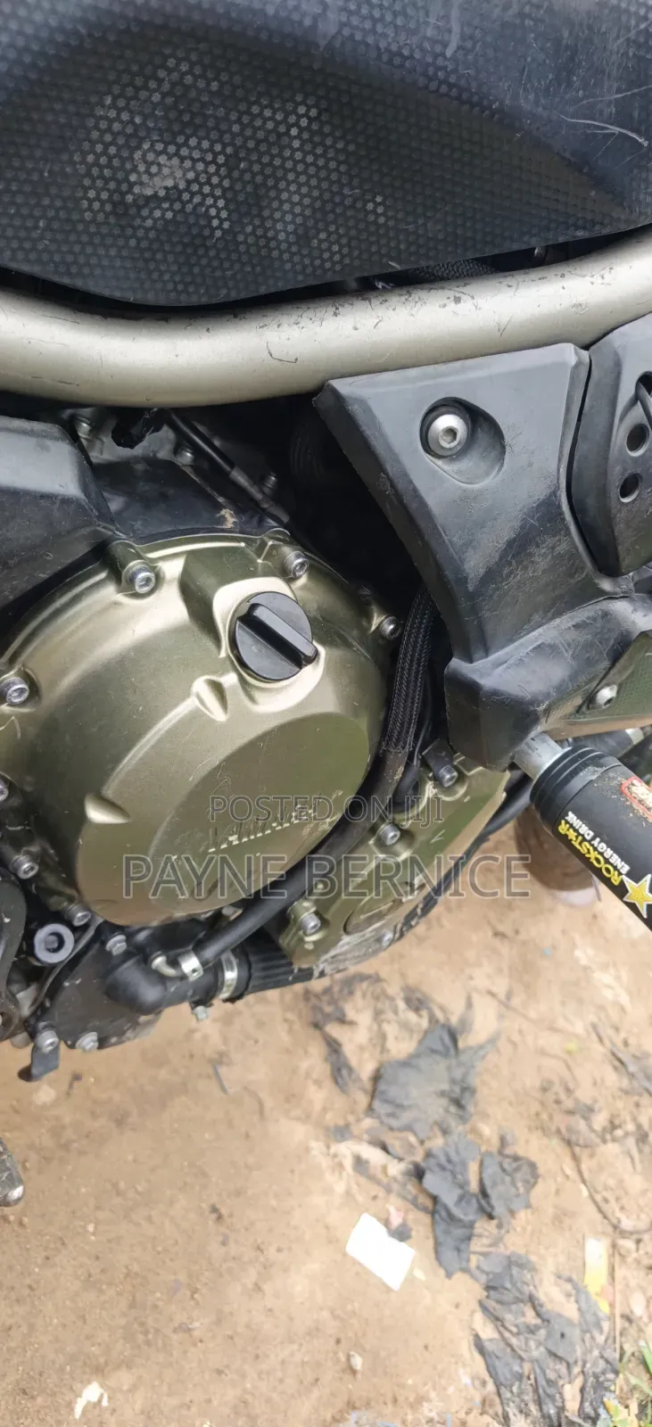 Yamaha FZ6 2025 White