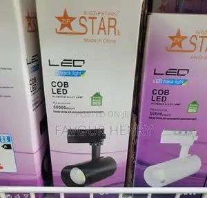 Track Light Bulbs
