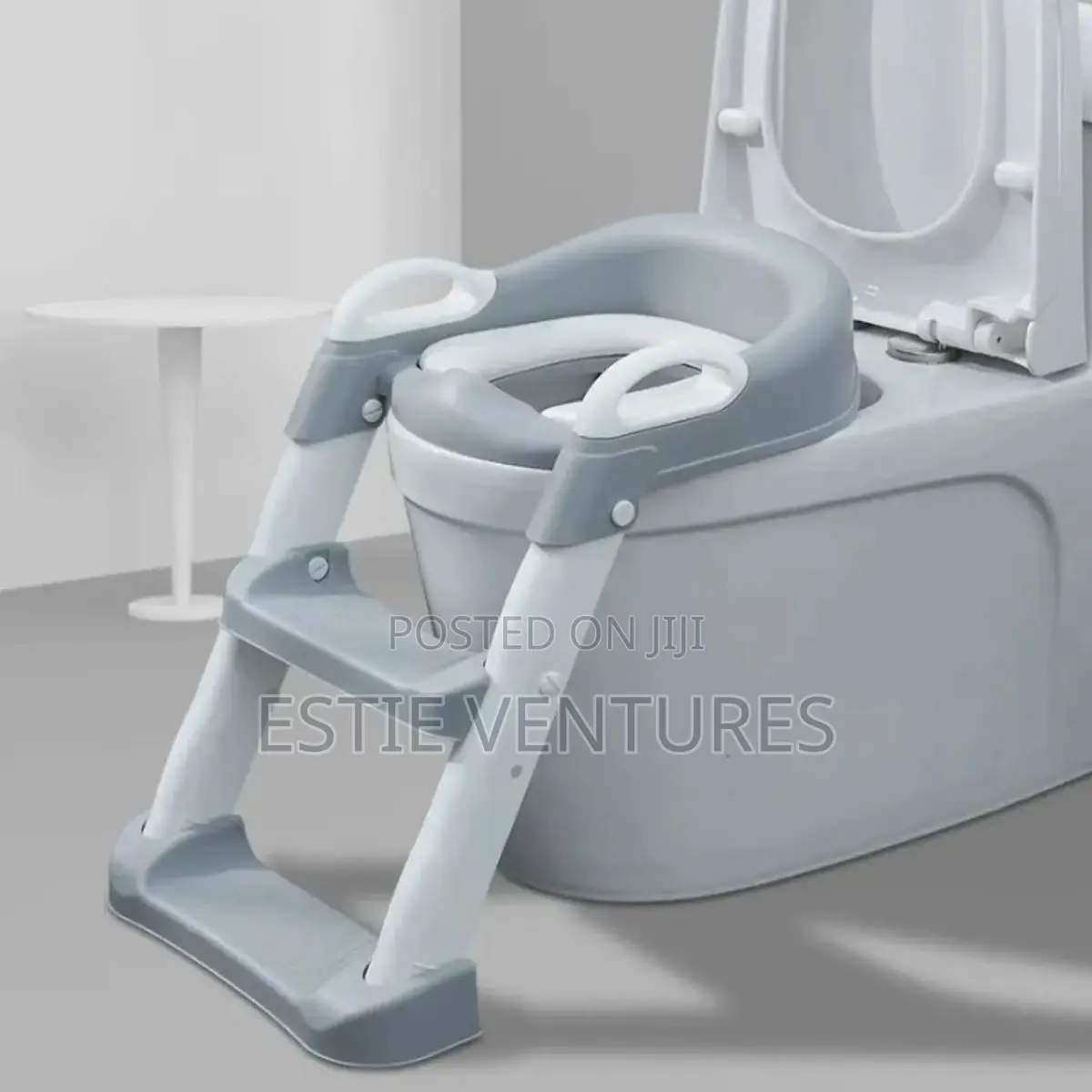 Potty Training Seat