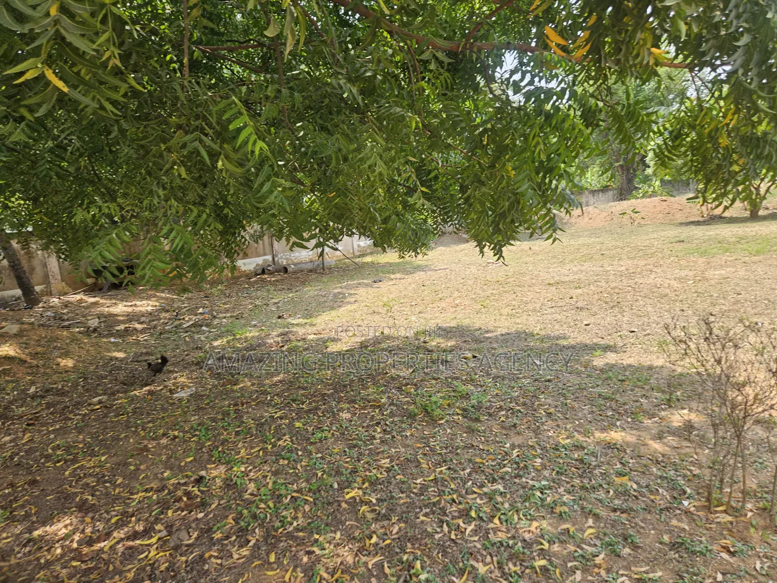 Prime Area Roadside Land Available for Sale at Tema Motorway* 5 Acers