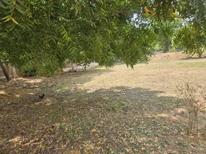 Prime Area Roadside Land Available for Sale at Tema Motorway* 5 Acers