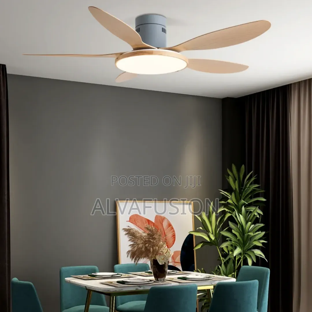 Modern Minimalist Remote Control Light Ceiling Fan 56 Inches