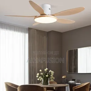 Modern Minimalist Remote Control Light Ceiling Fan 56 Inches