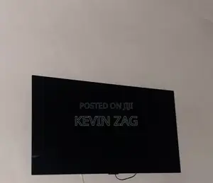 Lg G1 Oled Tv With a Broken/ Dead Screen
