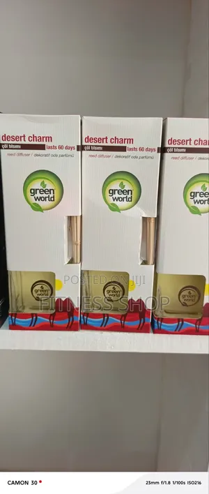 Desert Charm Air Diffuser