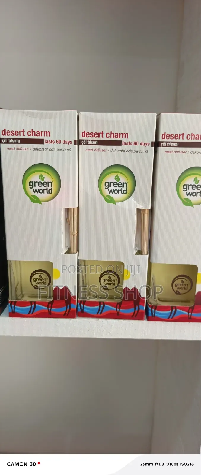 Desert Charm Air Diffuser