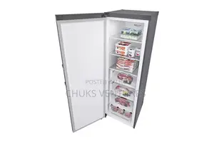 Lg Standing Freezer 324l (Frz 414elfm-B)
