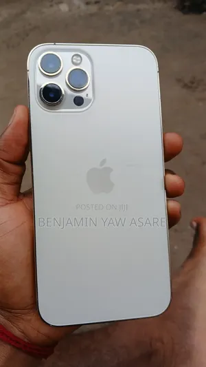 Apple iPhone 13 Pro Max 256 GB
