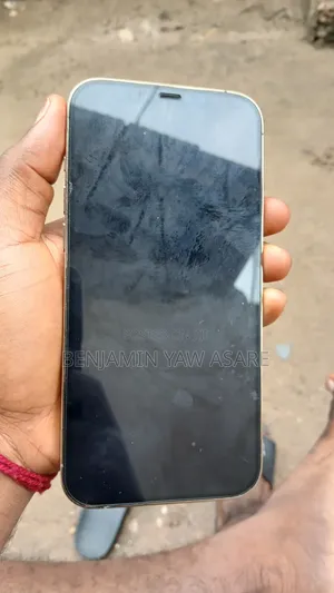 Apple iPhone 13 Pro Max 256 GB