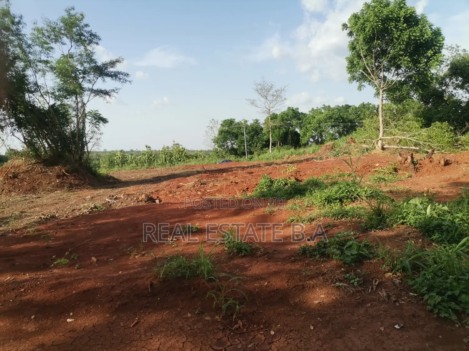 Genuine Plots of Lands 100x90 Each by the Roadside Along at Yamfo