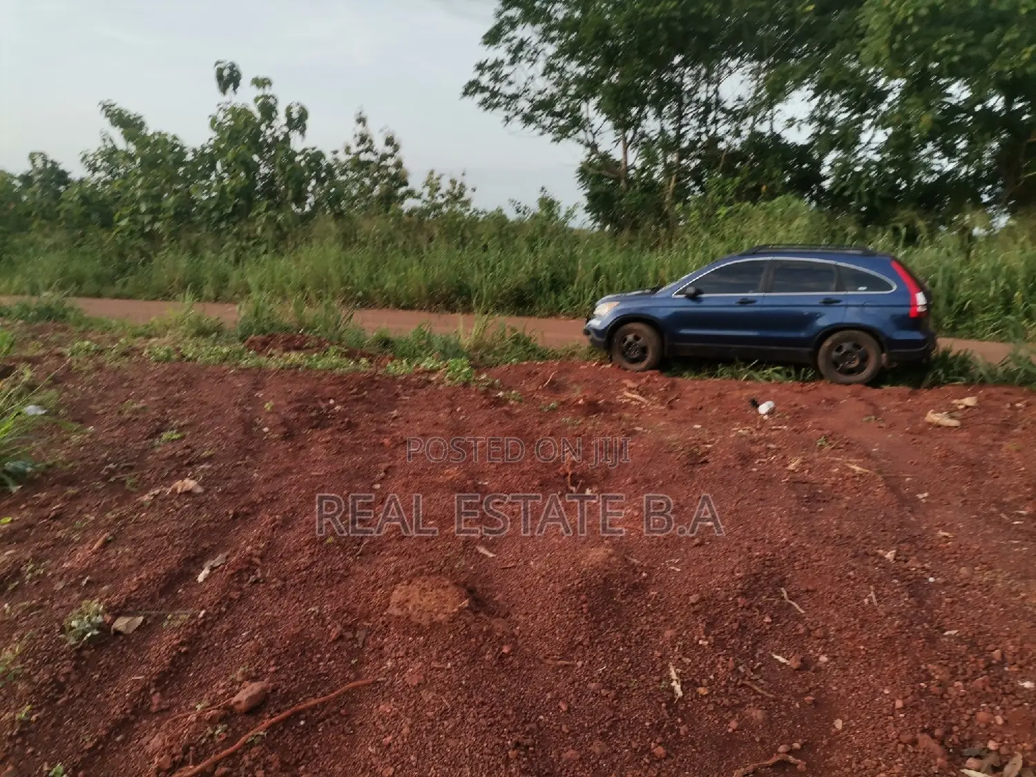 Genuine Plots of Lands 100x90 Each by the Roadside Along at Yamfo