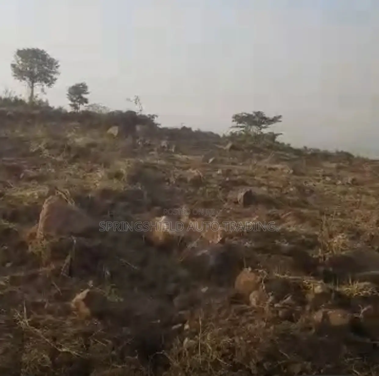 100 Acres of Land at Somanya for Sale