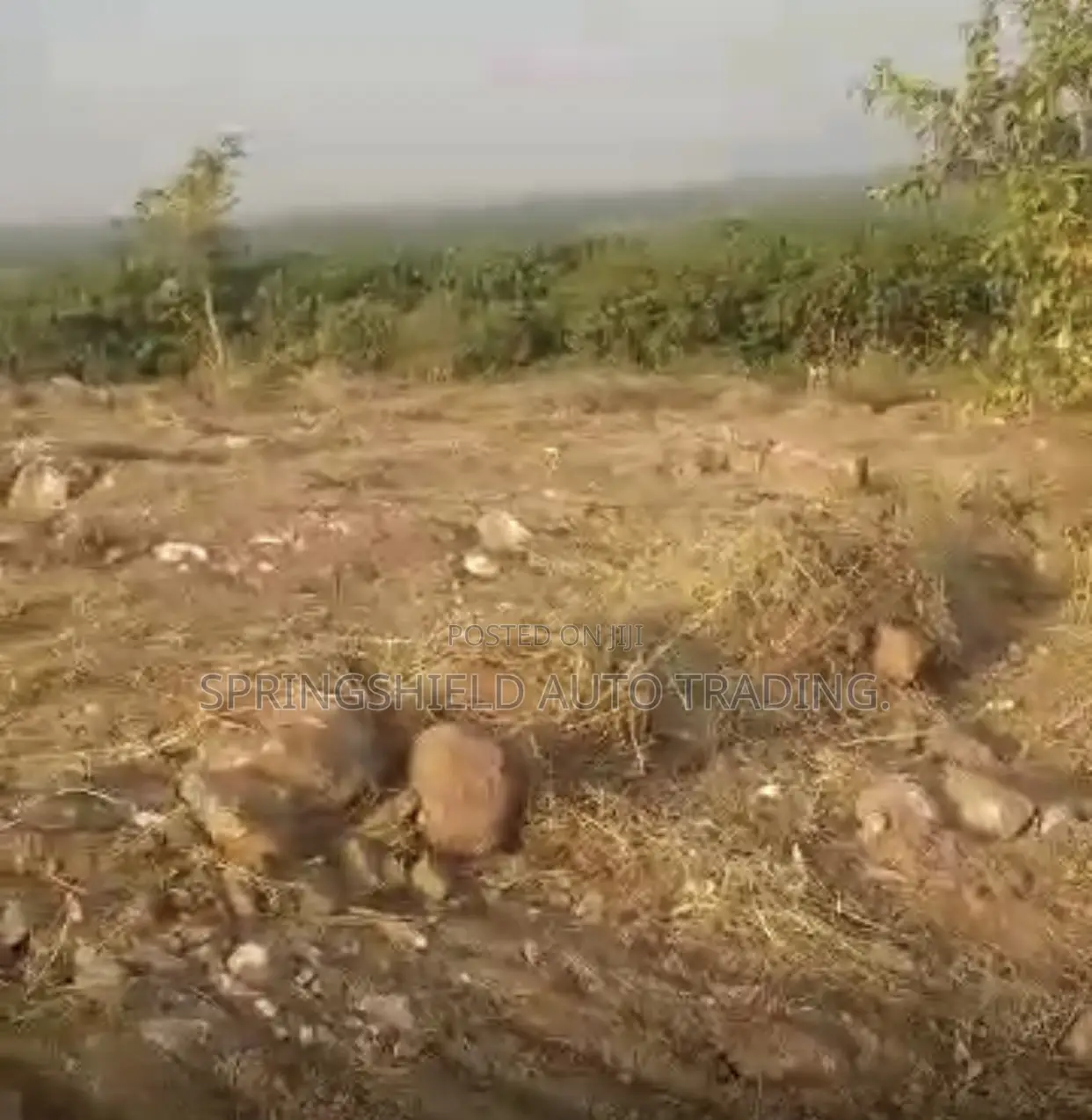 100 Acres of Land at Somanya for Sale