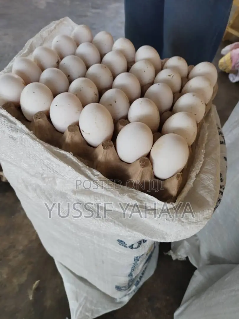 Affordable Fresh Farm Eggs