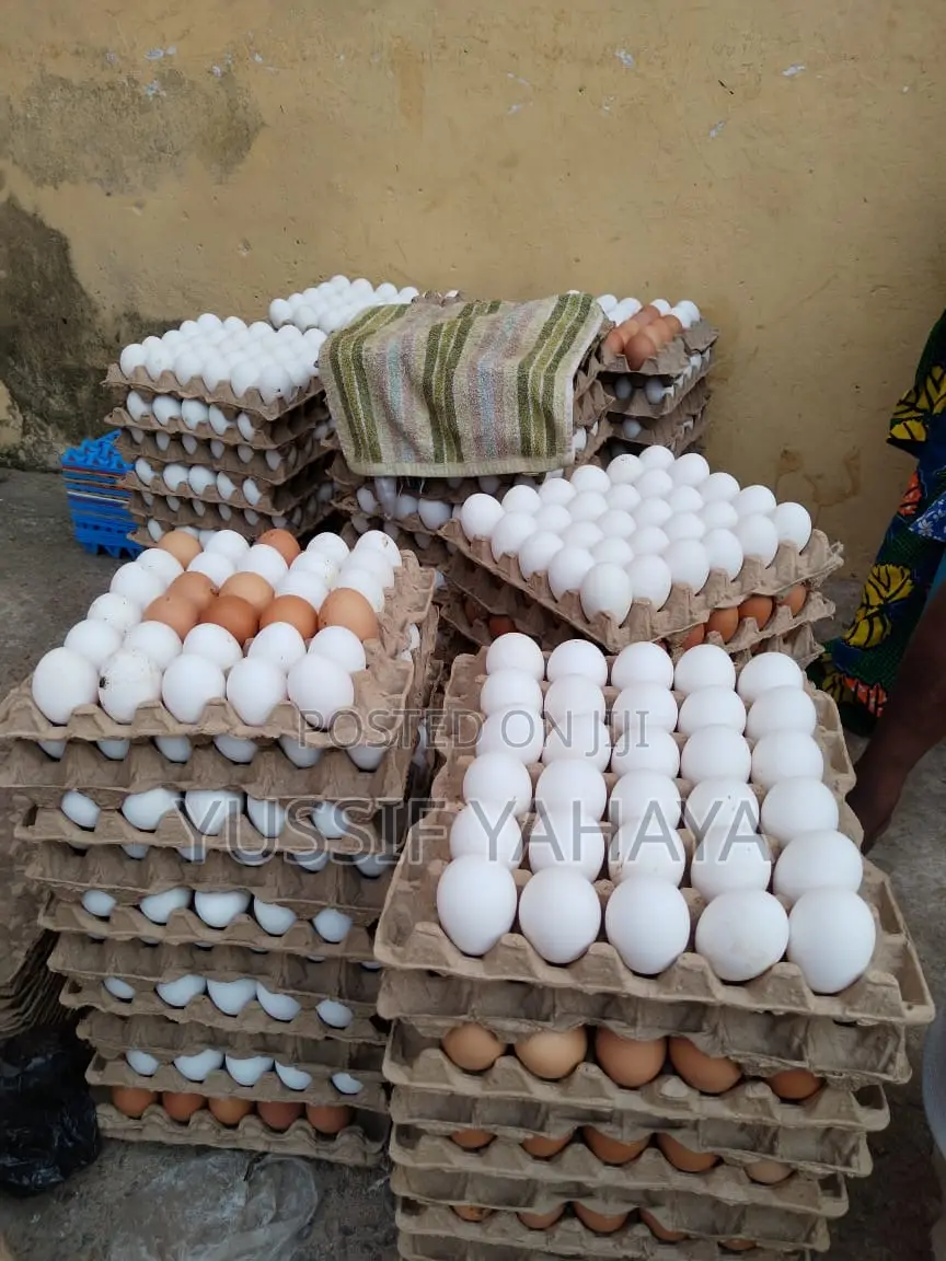 Affordable Fresh Farm Eggs
