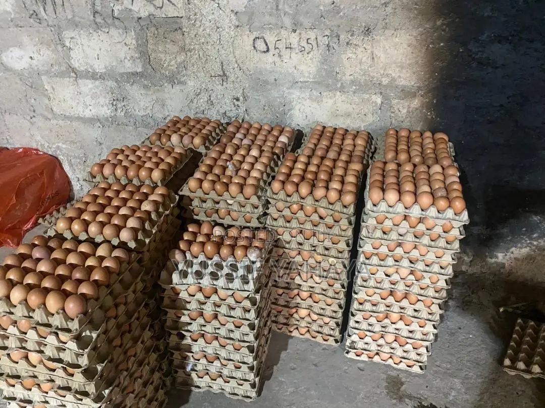 Affordable Fresh Farm Eggs