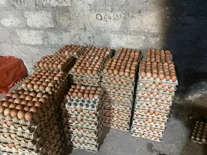 Affordable Fresh Farm Eggs