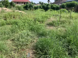 Acres and Plots of Land Located Between Aburi and Adawso