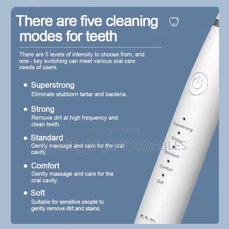 Adult Electric Toothbrush / Plaque Remover