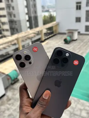 Apple iPhone 15 Pro Max 256 GB Gray
