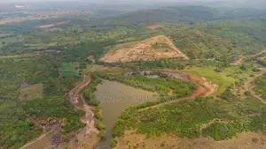 Seaview Oversized Estate Parcel for Sale – Central Region