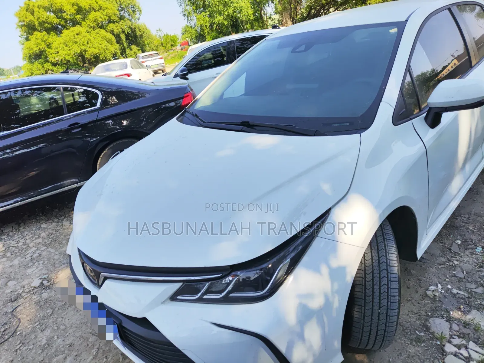 Professional Driver Both Automatic and Manual Car's