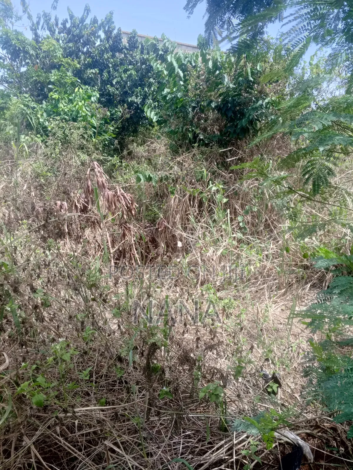 Land 4 Sale at Kotoku