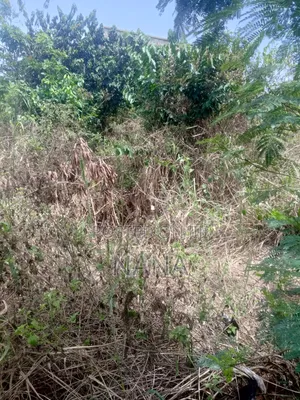Land 4 Sale at Kotoku