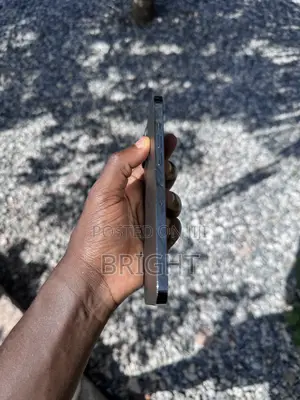 Apple iPhone 12 Pro Max 512 GB Bronze