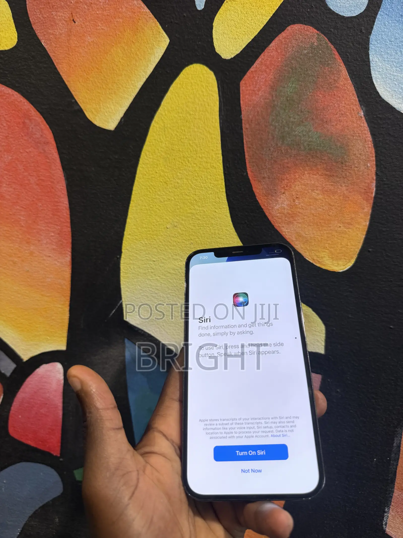 Apple iPhone 12 Pro Max 512 GB Bronze