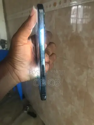 Apple iPhone 12 Pro Max 256 GB Blue