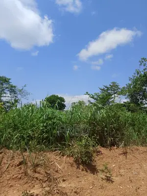 7 Acre Farmland for Sale at Sunyani Chiraa