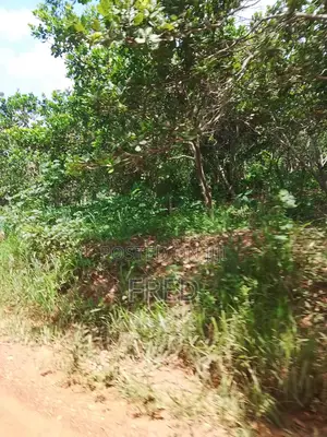 7 Acre Farmland for Sale at Sunyani Chiraa