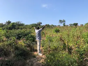Land for Sale – Brenu Growth Corridor