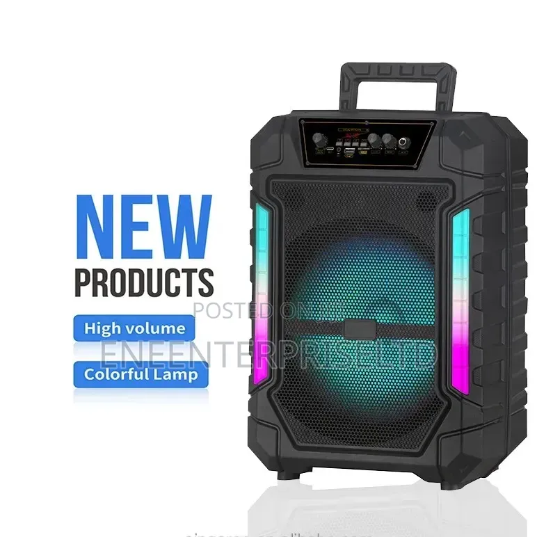 1000w Wireless Speaker for Sale