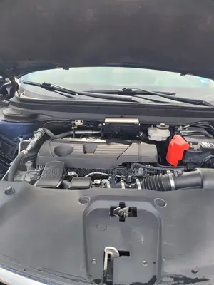 Acura RDX 2019 Blue