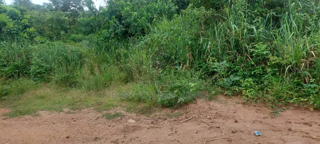 Well Located 4plots of Land at Kwabere Kasaam for Sale