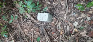 Well Located 4plots of Land at Kwabere Kasaam for Sale