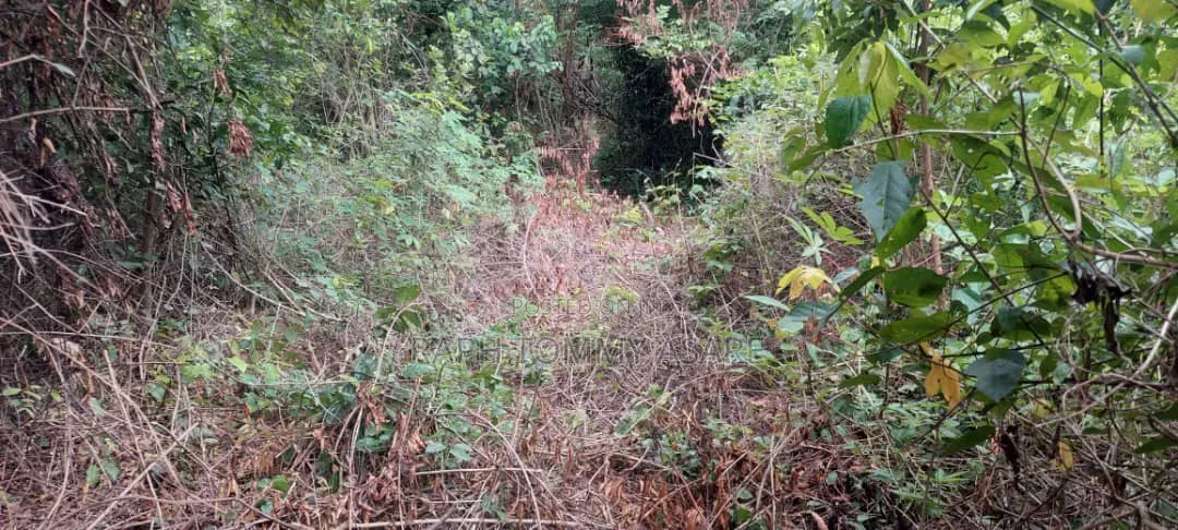 Well Located 4plots of Land at Kwabere Kasaam for Sale