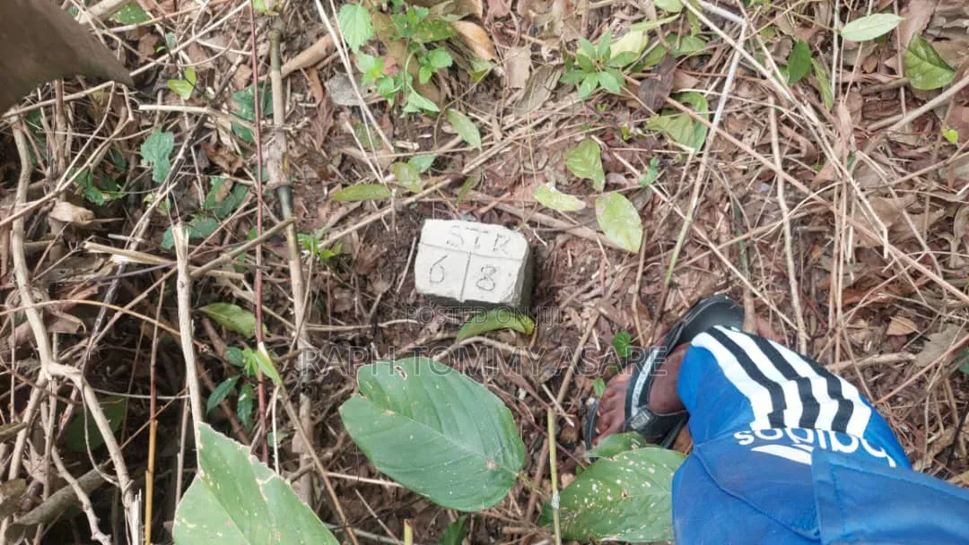 Well Located 4plots of Land at Kwabere Kasaam for Sale