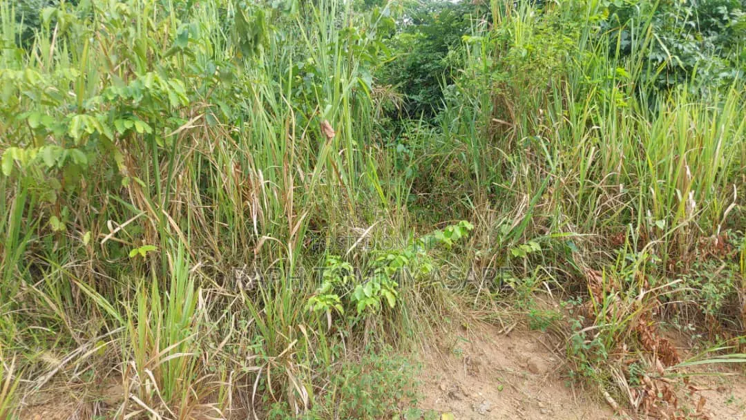 Well Located 4plots of Land at Kwabere Kasaam for Sale